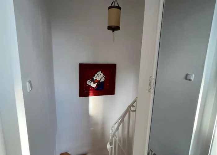 Appartement Mit Garten Am Venekotensee